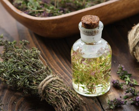 6 Best Lung Detox Herbs: Scientific Evidence and Benefits