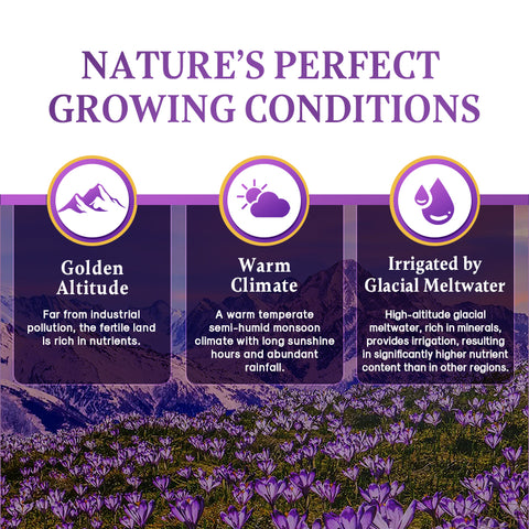 شاي إزالة سموم الكبد