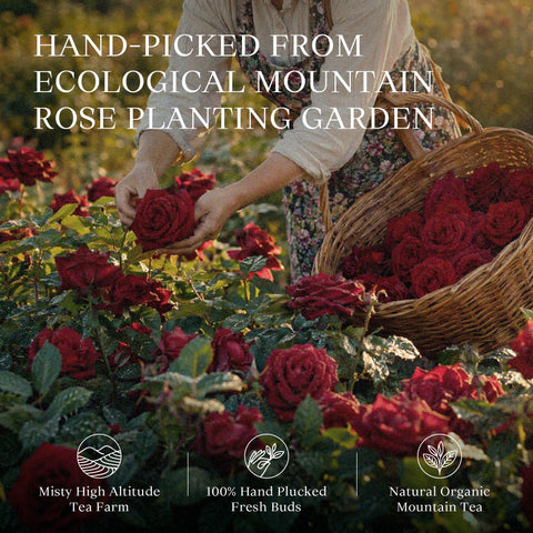 Yunnan Rose Black Tea